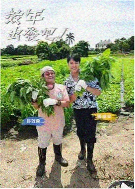 免费挑战赛 稻草影视免费观看电视剧